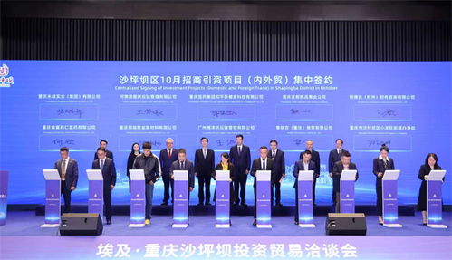 重慶沙坪壩投資貿(mào)易洽談會成功舉行，簽約6個對非經(jīng)貿(mào)合作項目助力信息咨詢服務升級